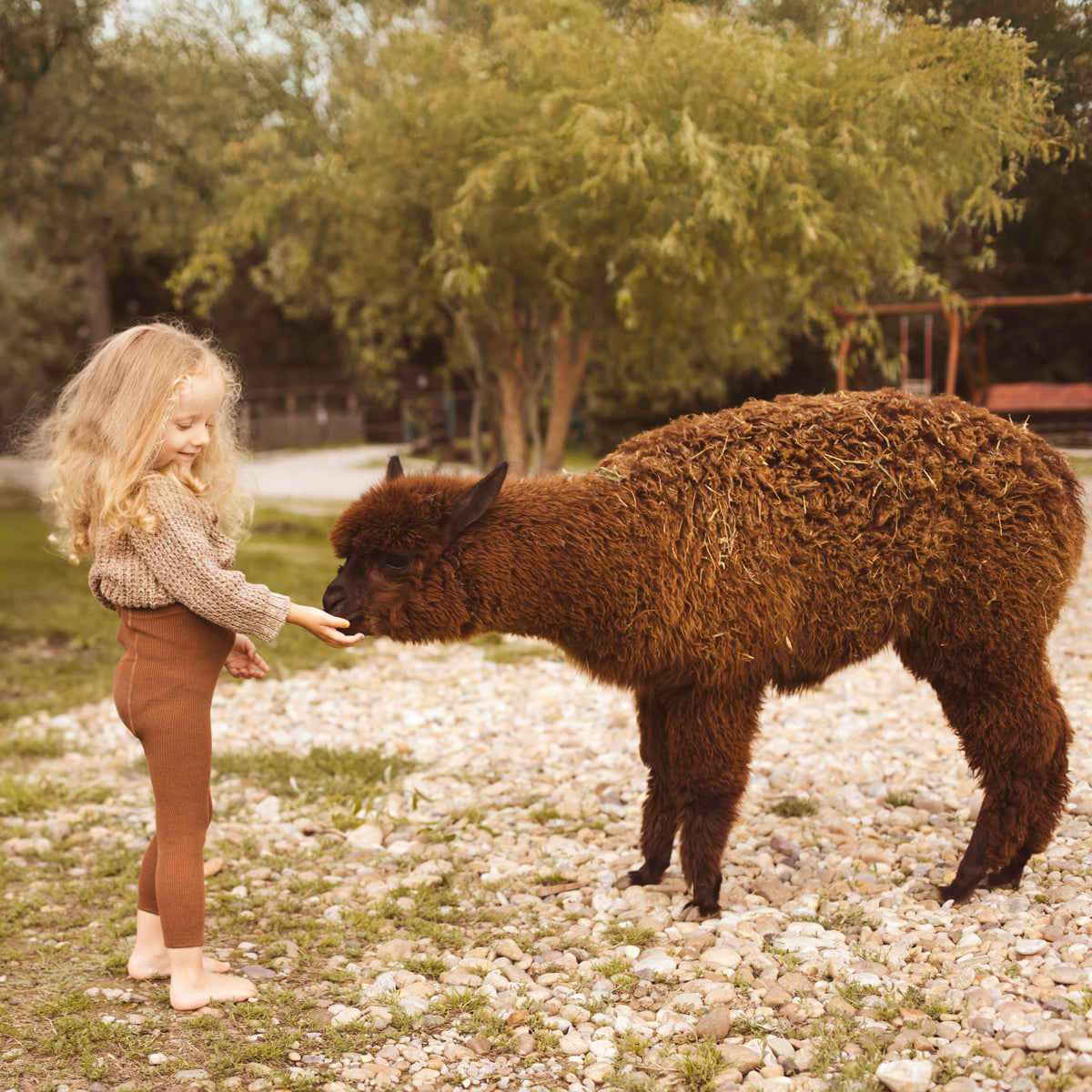 Alpaca Footless Tights with Braces - Hazelnut