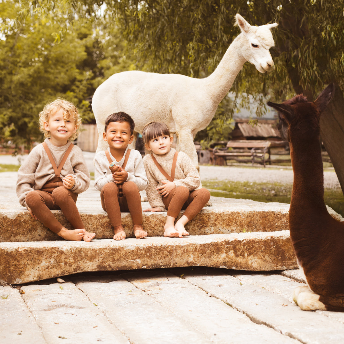 Alpaca Footless Tights with Braces - Hazelnut