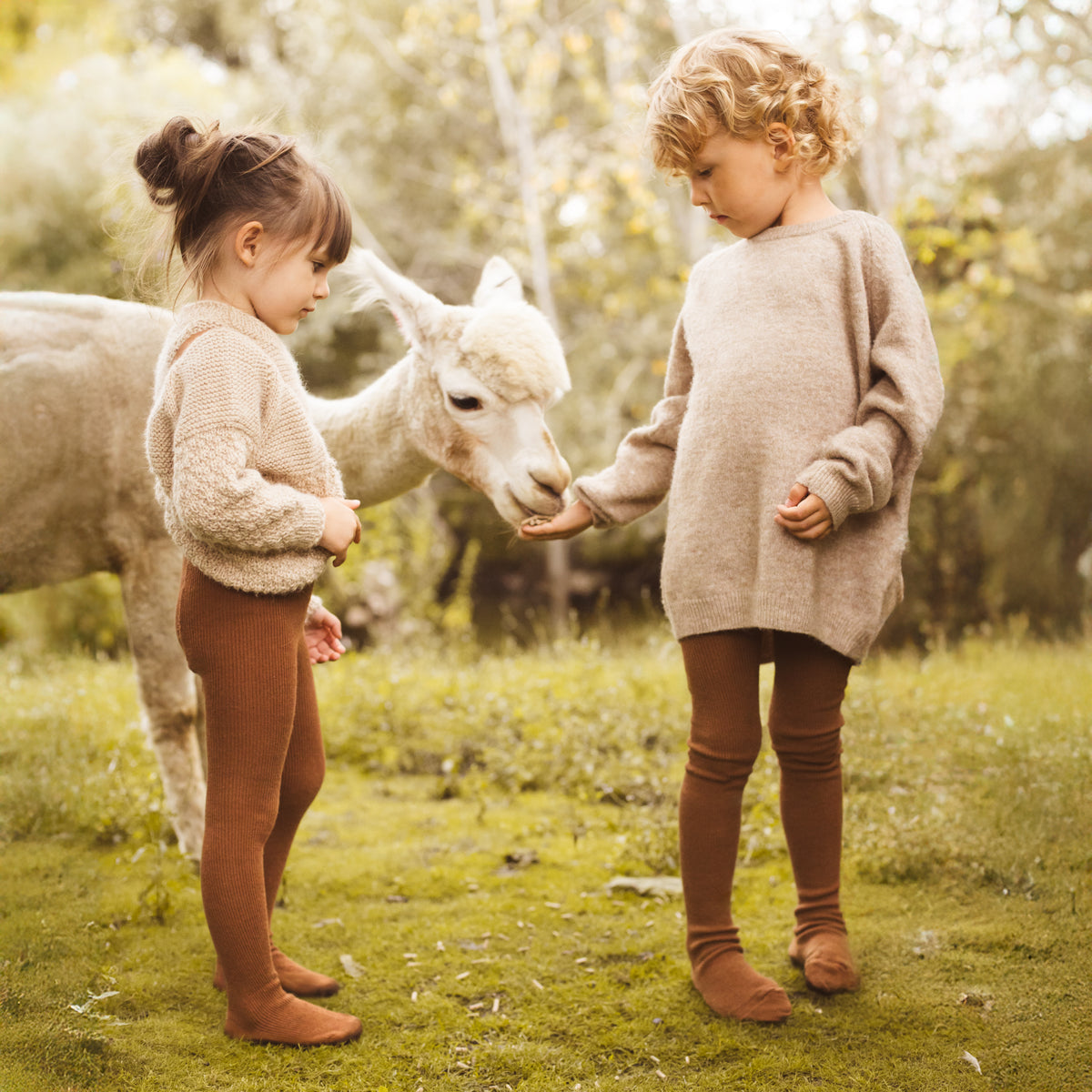 Alpaca Tights - Hazelnut