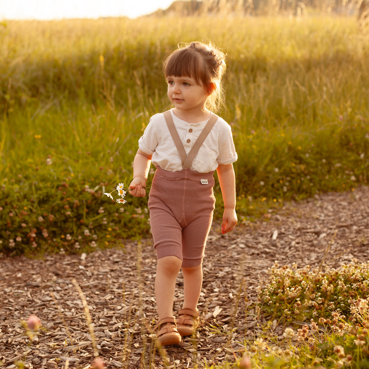 Short Tights with Braces - Dusty Rose