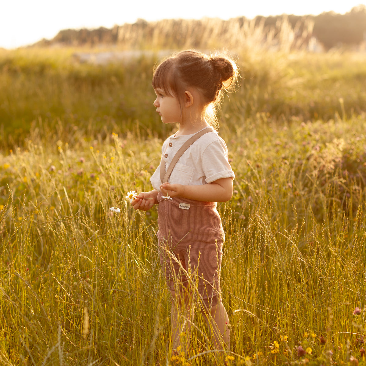 Short Tights with Braces - Dusty Rose