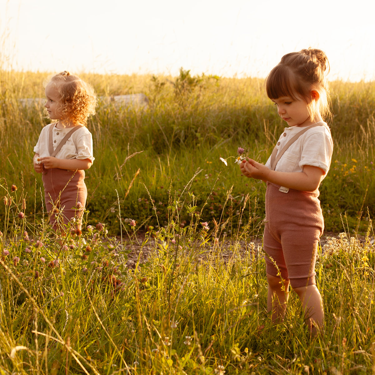 Short Tights with Braces - Dusty Rose
