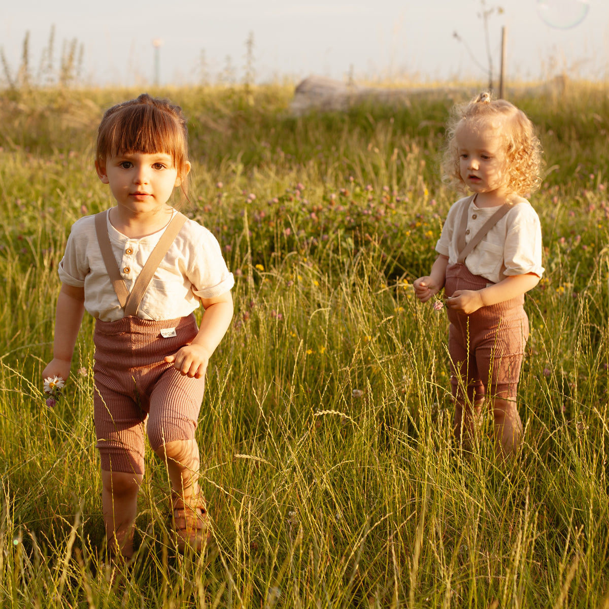 Short Tights with Braces - Dusty Rose